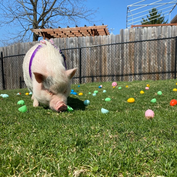 Why I Posh - Picture 10 of 16